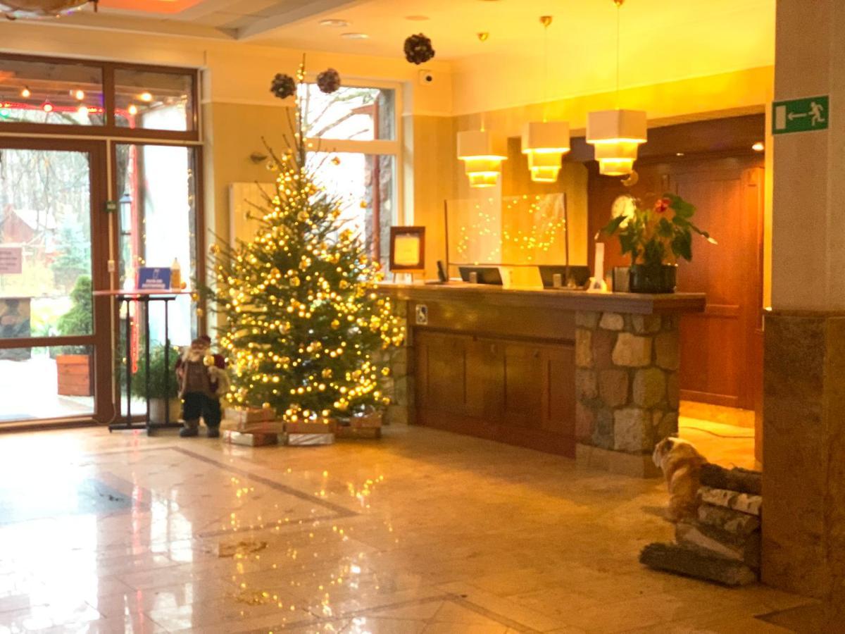 Hotel Albatros Serwy Eksteriør bilde